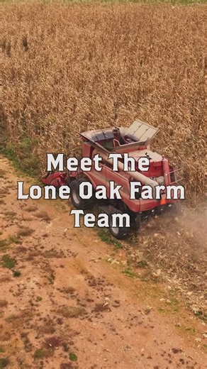 Lone Oak Farm Brewing Company on Instagram: "Meet the Farm Team! 🌾 Farm Manager Joe and Lead Farm Hand Nathan are the heart and soul of this operation — always behind the scenes making sure everything runs smoothly. You may not see them often, but their hard work is what makes it all possible! 👩‍🌾👨‍🌾 And of course, no farm is complete without its furry friends! 🐾 Farm Dog Red and our feline squad — Lucy, Lou, and Lilly — are here to keep us smiling year-round. 🐶🐱 Drop a ❤️ and show them 