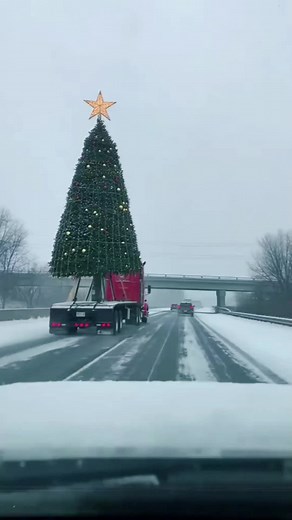 Christmas Tree Fail: A Hilarious Holiday Mishap