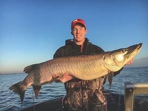 10 Hot Minnesota Muskie Waters - Game & Fish