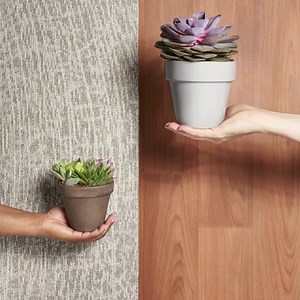 5.6K views | We believe in healthy spaces. So we're introducing...