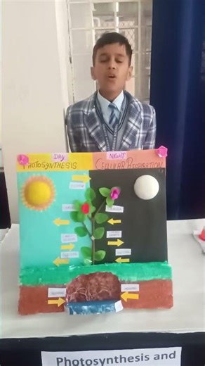 photosynthesis and Cellular respiration #science exhibition