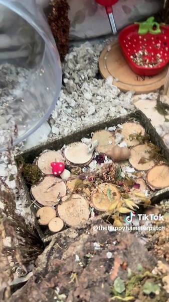 Captain & Colin Robinson on TikTok