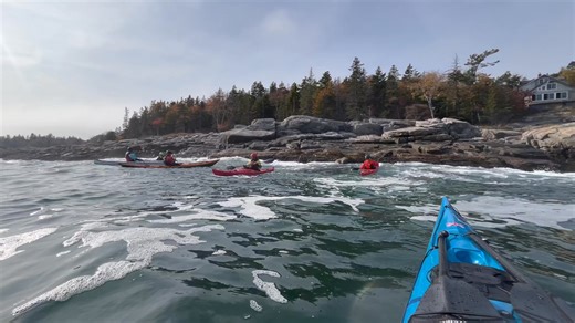 Steve Johnson on Reels