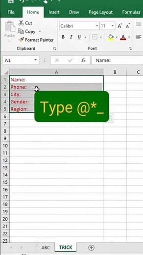How to Create Professional Form in Excel - Easy Tutorial!