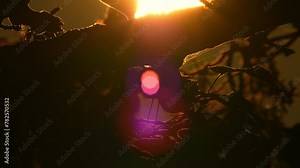 Camera movement to cinematic sun set with yellow orange light effects and sun leaks. Hot summer and heat wave. Big yellow sun disk setting at epic golden hour. Close up view of big round sun circle.