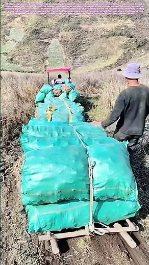 Mobile Drying Method: How a Moving Trailer Transforms Traditional Herb Processing