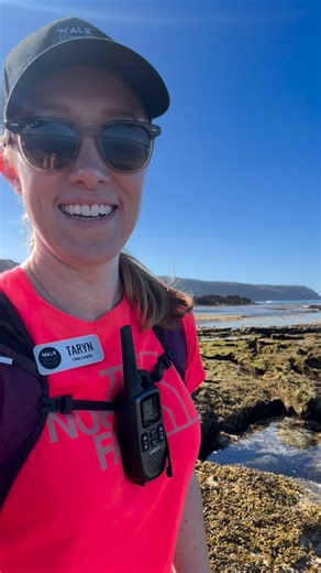 Walk Mornington Peninsula on Instagram: "Fingal Beach - just around the corner from Gunnamatta - showing off in the most breathtaking way. With an exceptionally low tide and barely a breath of wind, the ocean revealed itself slowly, cascading off the rock ledges in layers🥰 We meticulously plan our hikes around tides, to give our hikers the very best experience possible, and sometimes Mother Nature meets us halfway, turning the wind down and letting the landscape speak for itself. The last few d
