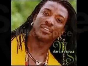 Jamaican Lover the Mix Vol 2 (Mikey Spice) Section