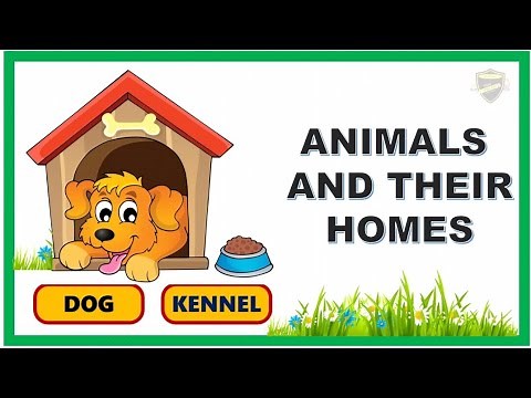 Animal and their homes| Animal and their homes for kids| Homes of animals| Animal homes|