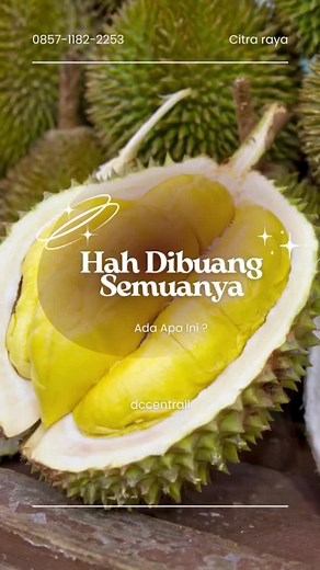 Loh loh dibuang semua !!! Ada apa nih ? order sekarang 📞 0857-1182-2253 🕐 09.00 - 22.00 WIB 📍Lokasi Citra Raya Cikupa, seberang Mall Ciputra Tangerang Bunderan 5. #Dccentral #citrarayatangerang #durianpanongan #Infodurian #duriandccentral #Grosirmurah #fakescene #durianmurah #fypシ #panongancitra #monthongpalu