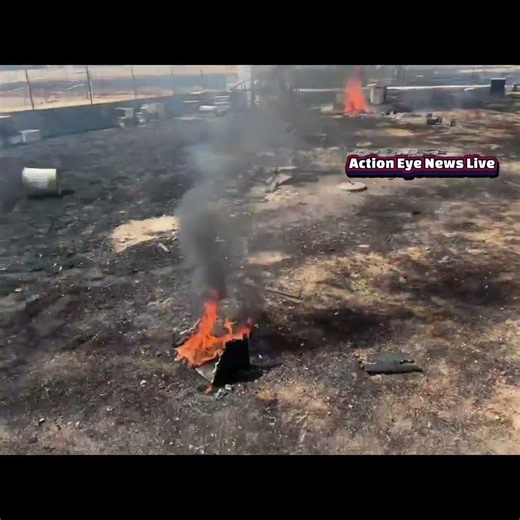 VERONA FIRE DESTROYS LOCAL APIARY, MILLIONS OF BEES LOST