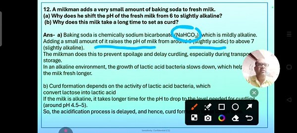 Class 10 science chapter 2 Acids bases and salts NCERT complete