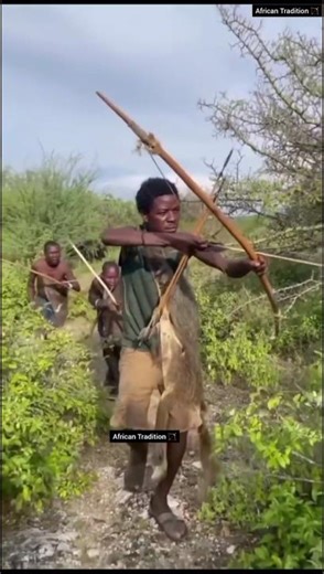 Cheetah's Lightning Strike: High-Speed Takedown & Ancient Arco e Flecha 🏹🐆
