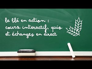 Cours dynamique EISF | Farine : types T, mouture et stockage (Révisions CAP en live)