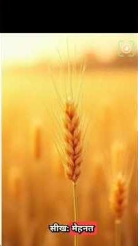 Hard Work Pays Off 🚀 | Success Story in Hindi | Kisan Motivation #lynaff