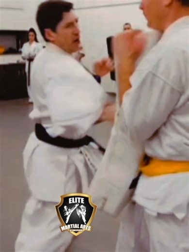 Effective Fight Combo for Pro Fighters in Kyokushin