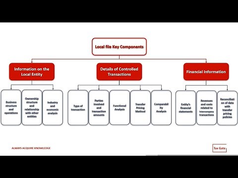 Transfer pricing local file explained