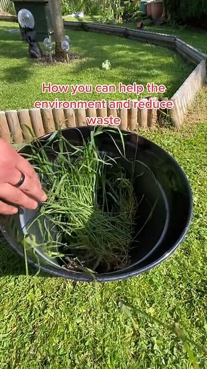 #howto help the environment by making your own compost that doesn’t contain peat#plantsoftiktok #DIY #didyouknow #Le #gardens #flowerphotography #gardener #design #instagram #photo #bhfyp #gardenlove #flores #organic #homedecor #picoftheday #travel #architecture #growyourown #plantas #cactus #landscaping #succulents #trees #plantsmakepeoplehappy #dg #growyourownfood #giardino #gardensofinstagram #tree #flowerpower #instagarden #beauty #homegrown | Garden knowledge's Joes