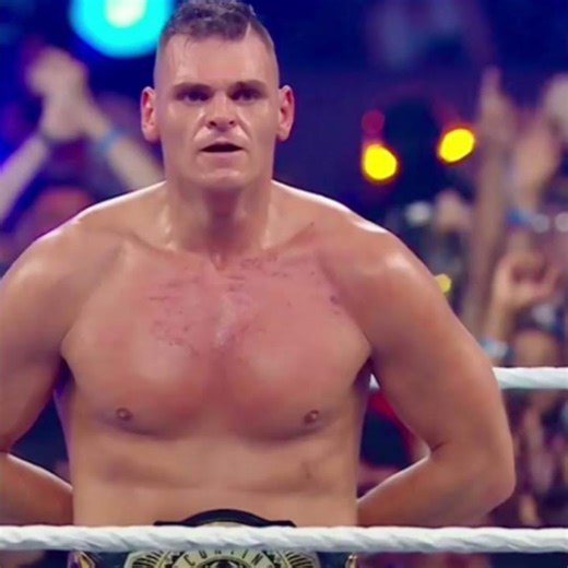 AJ. Styles, Seth Rollins, CM Punk, Gunther, and Brock Lesnar!!