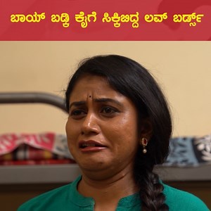 5.6M views · 138K reactions | ಬಾಯ್ ಬಡ್ಕಿ ಕೈಗೆ ಸಿಕ್ಕಿಬಿದ್ದ ಲವ್ ಬರ್ಡ್ಸ್ - https://youtu.be/AknSvSs6ziw | Javari Junction | Facebook