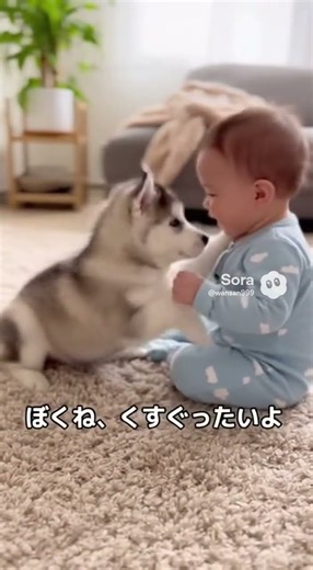 【癒し】ふたりの会話が、、、