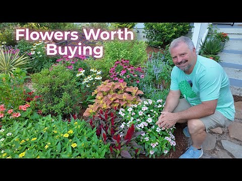 Top Annual Flowers Worth Every Penny This Season!