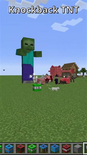Minecraft: Knockback TNT #minecraft #gaming#memes