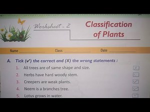 Class 1 & Class 2 EVS Worksheet // Classification of Plants (Worksheet)
