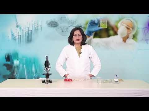 To Study Pollen Tube Growth on Stigma correction