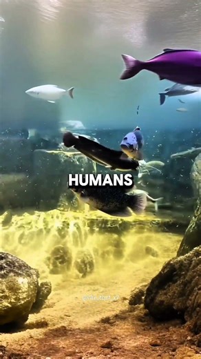 5 FACTS YOU PROBABLY NEVER HEAR BEFORE