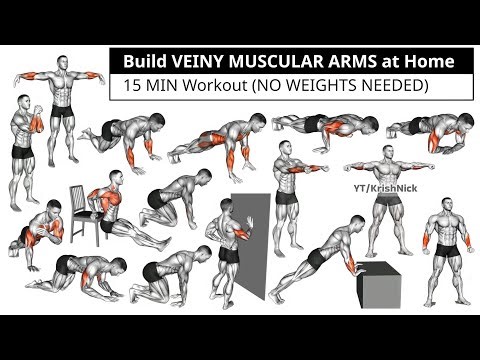 Build VEINY MUSCULAR ARMS at Home | 15 MIN Workout (NO WEIGHTS NEEDED) 💪🏼