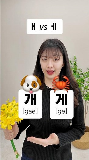 Difference Between ㅐ and ㅔ? #korean #koreanlanguage