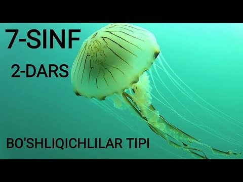 7 - SINF 2 - DARS (ZOOLOGIYA)