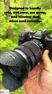 OM 1 Best Weather Sealing In Rain #omsystem #rain #safari #camera #hiking #olympus #olympuscamera