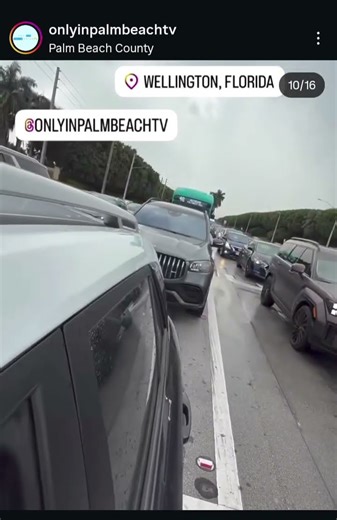 Gridlock Traffic Jam | OnlyInPalmBeachTV