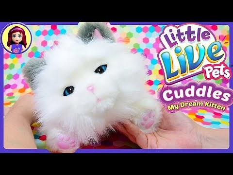 My Dream Kitten Cuddles Little Live Pets Review New Pet Adoption Kids Toys