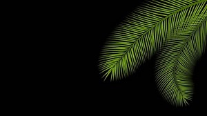 Animated Palm Tree Leaves Swaying By Stock Footage Video (100% Royalty-free) 27062887 | Shutterstock