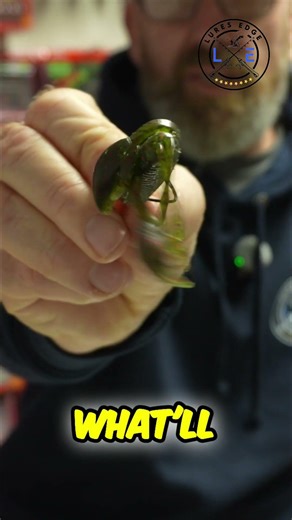 STRONG CURRENTS? Use HEAVIER Chebs! #shorts