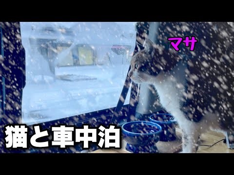 Blizzard Car Camping｜Cat alarm clock is activated