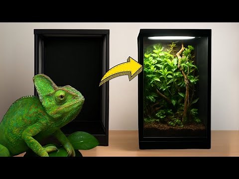 How to Make a Chameleon Terrarium Step by Step 🦎 | KANAKY VLOG #176