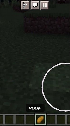 Minecraft poop 💩