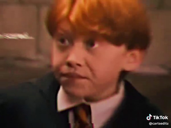 Ron and Harry: Best Moments of Friendship