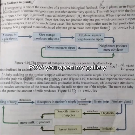 hw😔 #fyp #hw #gallery