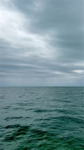 7.5K views · 173 reactions | THE SHRIMP BOATS HIDING INSHORE OF KEY WEST…. #KEYWESTCHARTERBOAT #KEYWESTPARTYBOAT #KEYWESTSAILBOAT | FishMonster Key West | Facebook