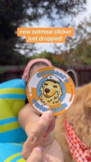 Free shipping on stickers! Made by humans (no AI) #merch
