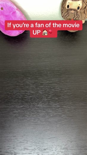 Our Adventure Book For Up Lovers 🏠🎈