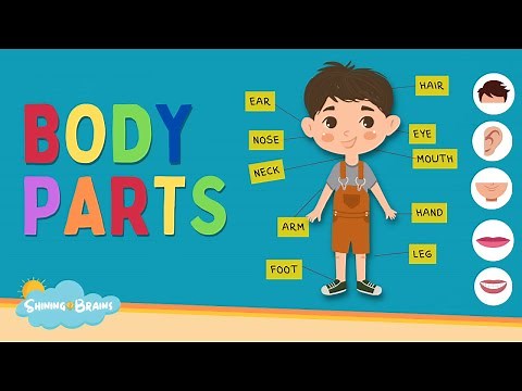 Learn Parts of Body Names | Body Parts Names for Kids | Human Body Parts | Kids English Vocabulary