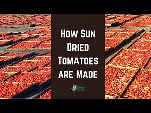 How Sun Dried Tomatoes are Made - The Produce Nerd