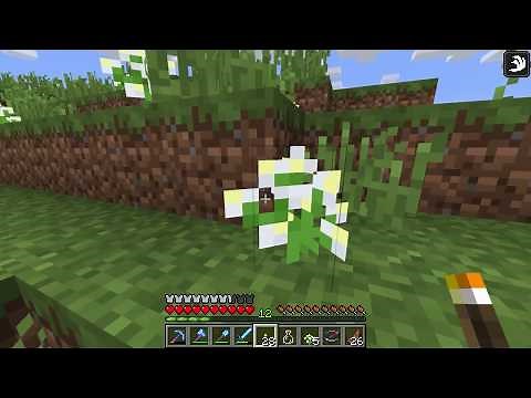 How to get Azure Bluet - Minecraft