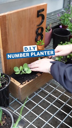 DIY House Number Planter: Freshen Up Your Display with This Clever Hack!